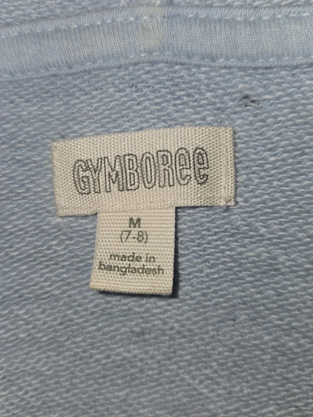 Gymboree Light Blue Zip-Up Hoodie with Sunrise Graphic